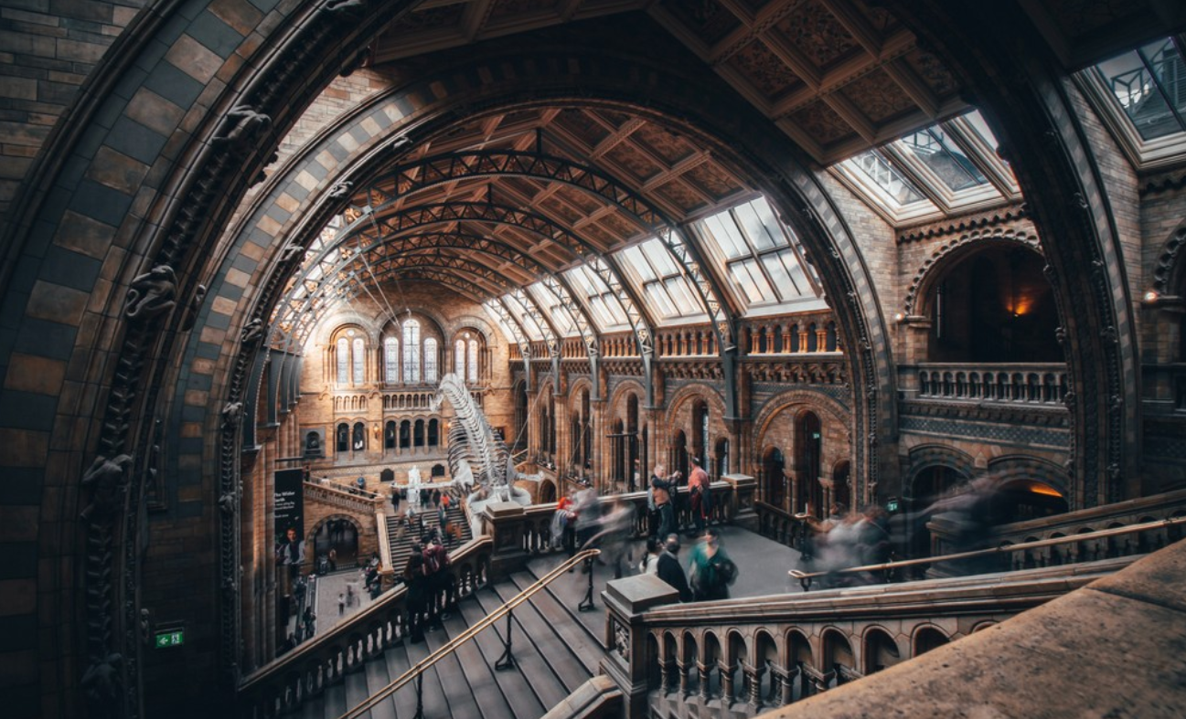 One of London's museums, enjoyed with company