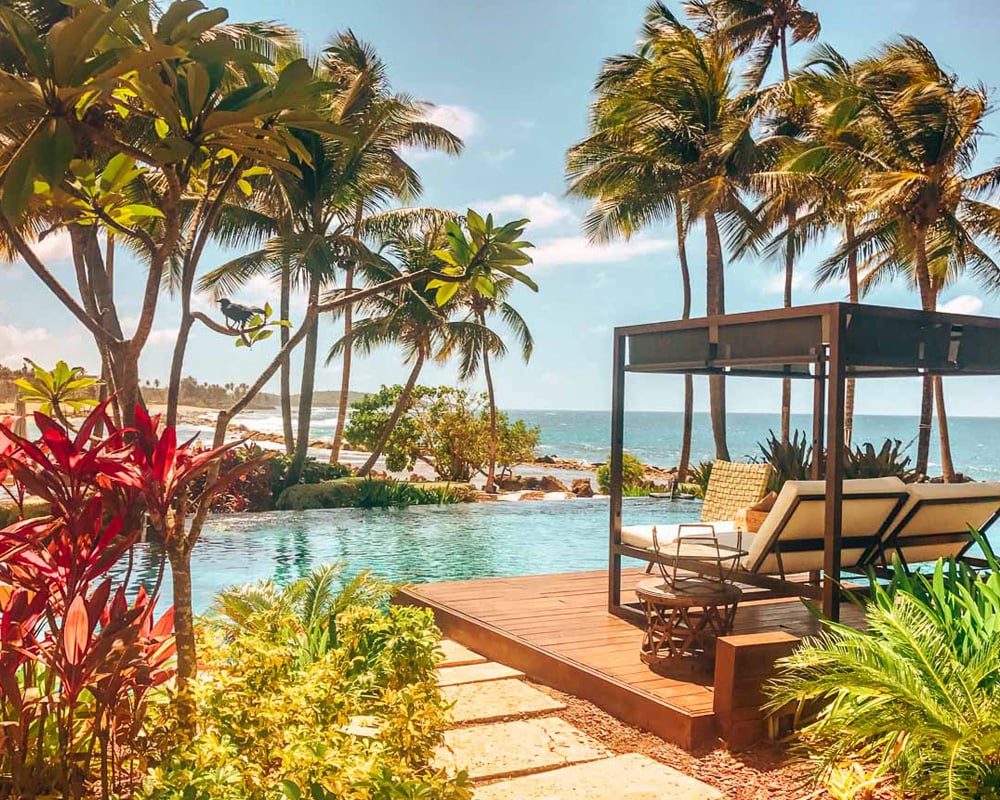 Gorgeous view of Puerto Rico by the pool with palm trees